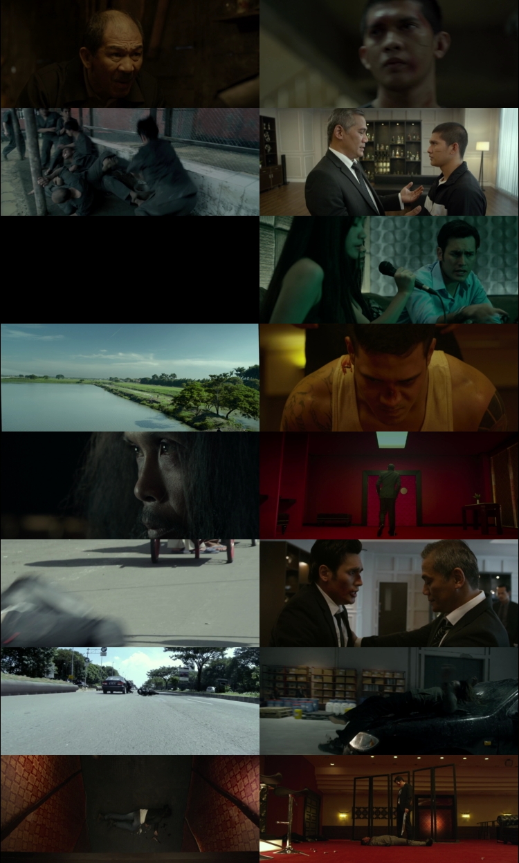 The Raid 2 (2014) 1080p | 720p | 480p BluRay [Hindi + English (DD5.1)]